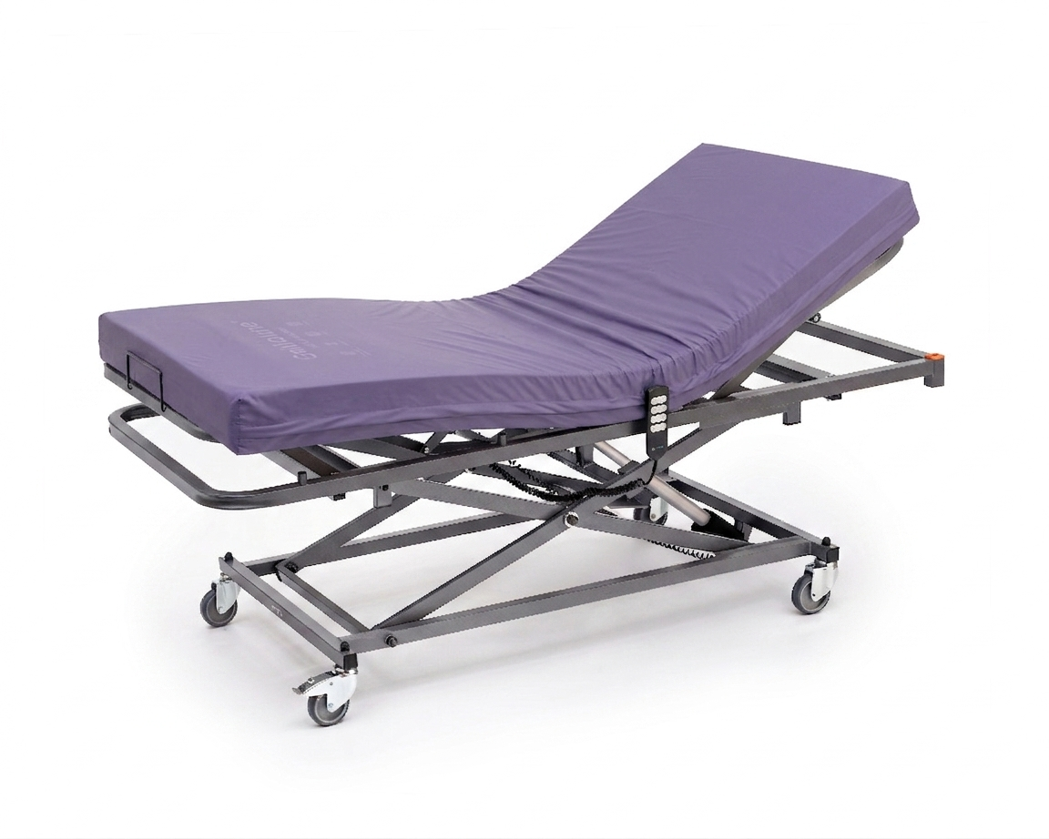 GERIALIFT + VISCO MORADO